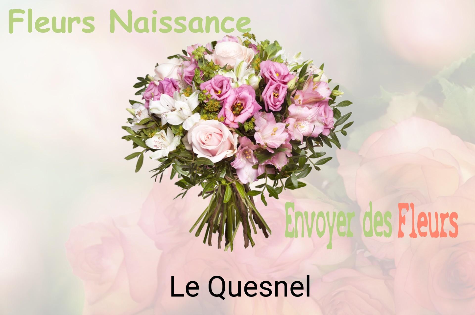 Bouquet de fleurs de naissance livré à Le Quesnel